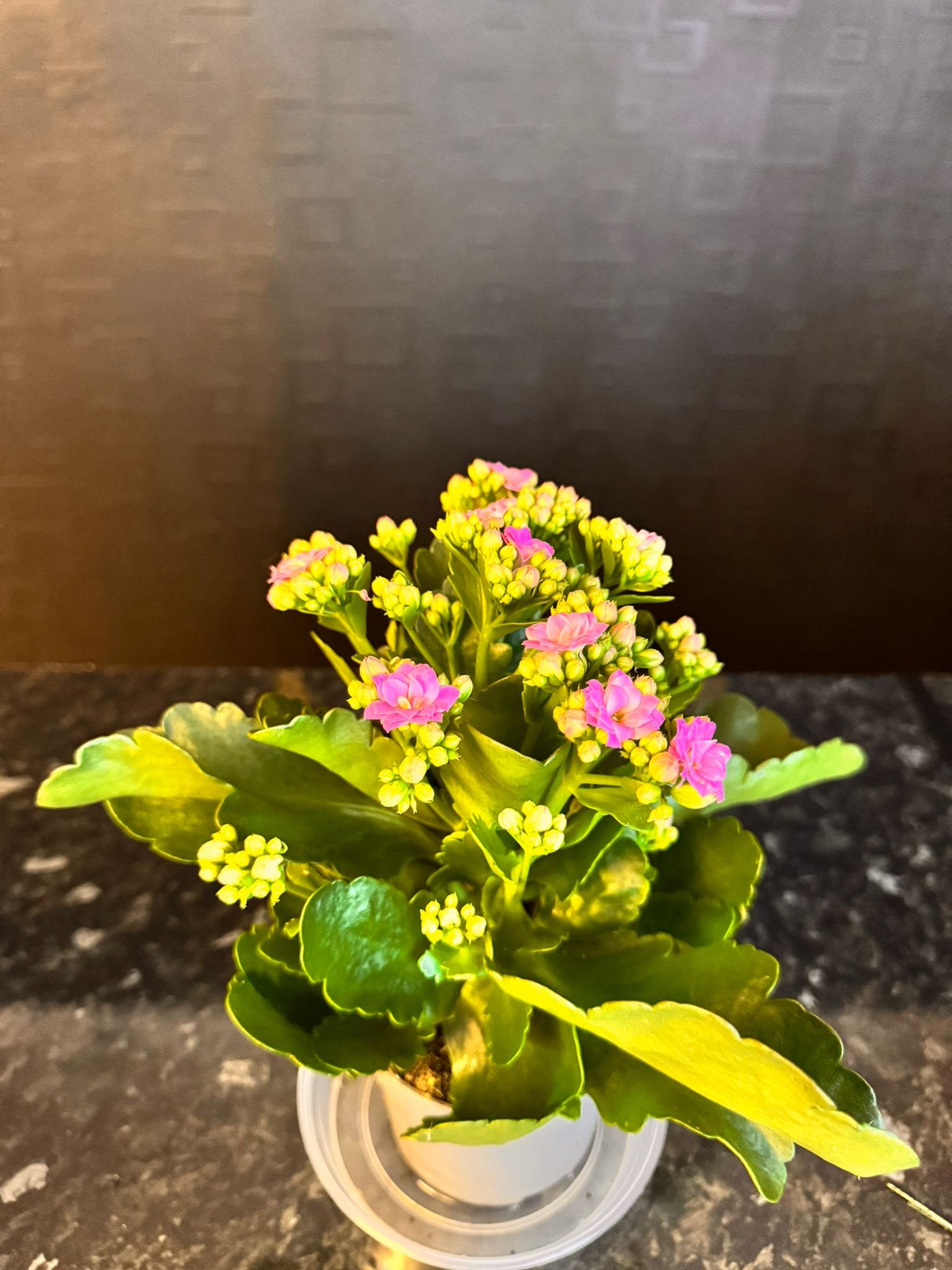 flower shop Colchester