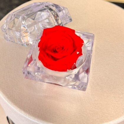 Eternal Red Rose
