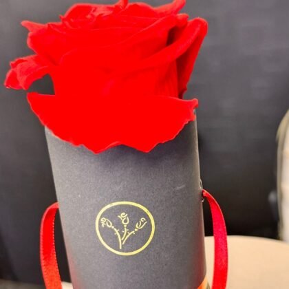 Eternal red rose